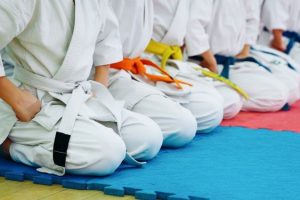 Read more about the article Culorile centurilor și semnificația lor în Kyokushin