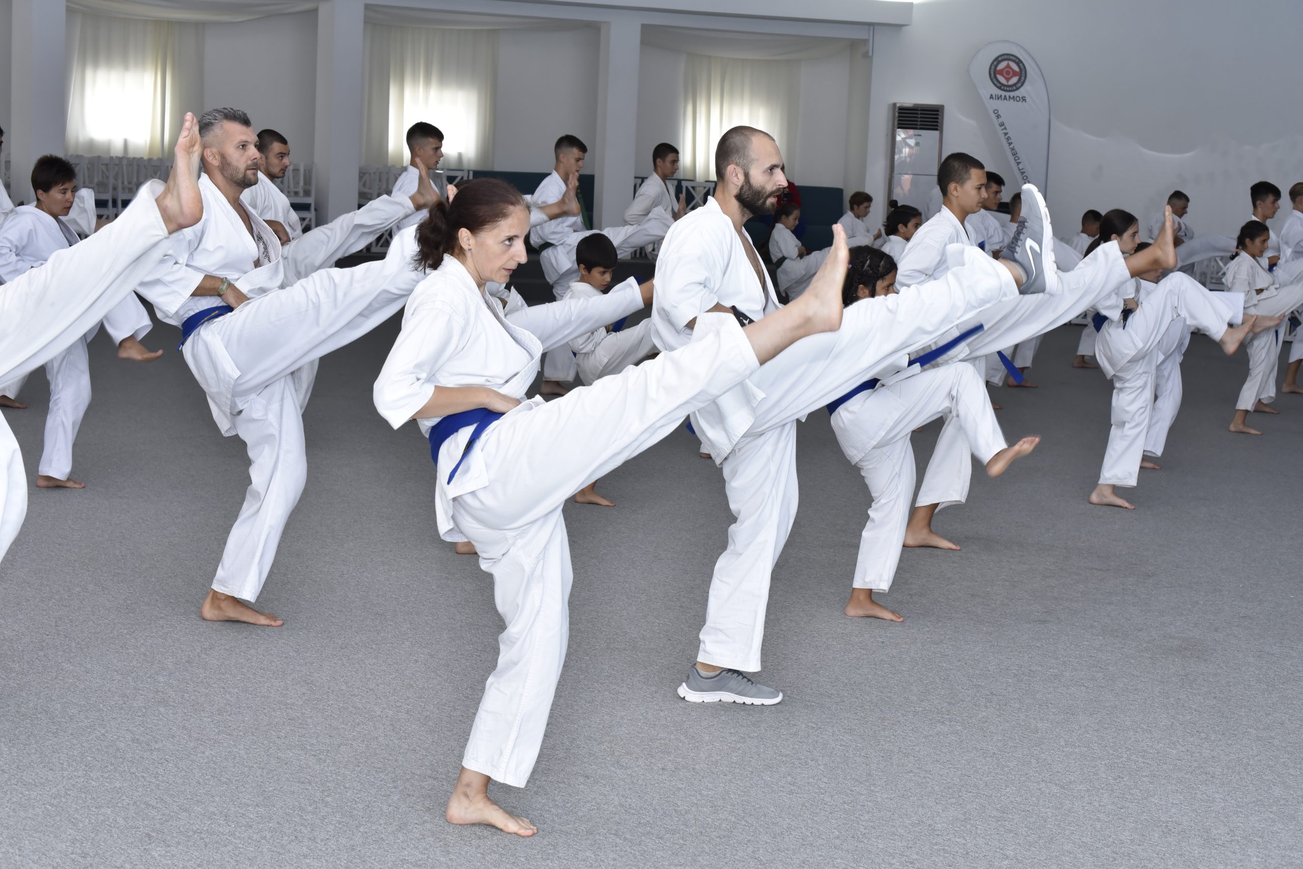 examen de centura, tehnica