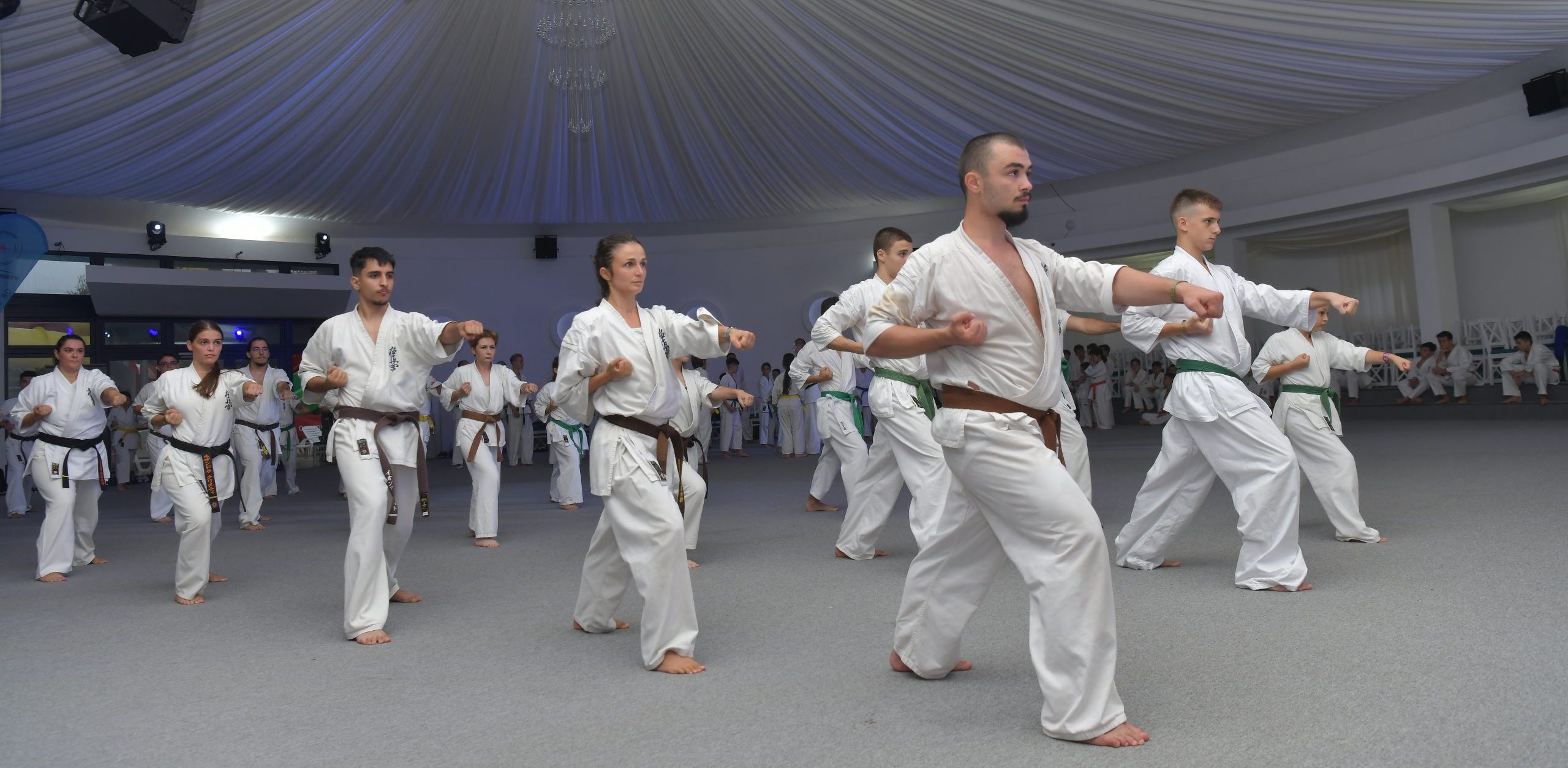 kata karate Kyokushinkai