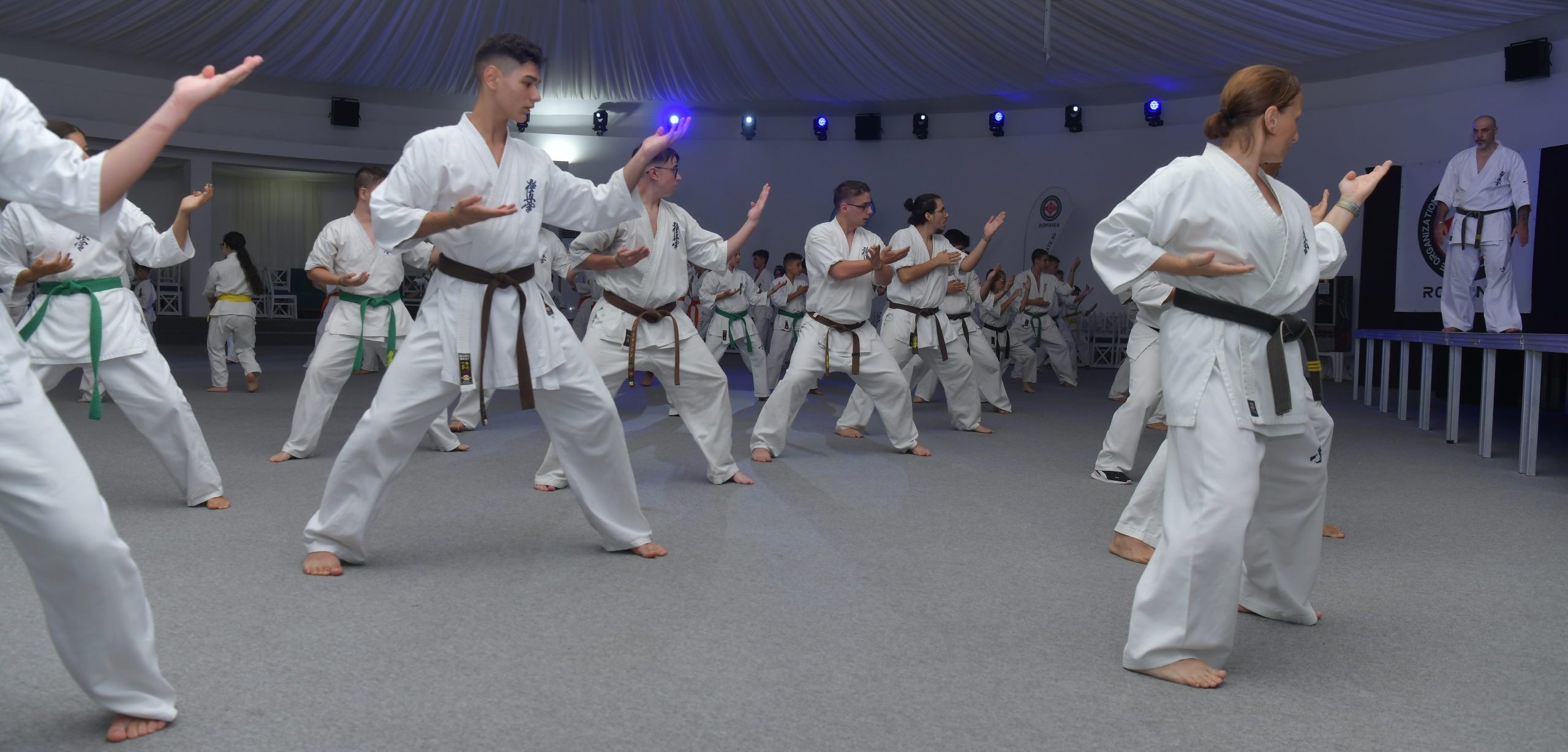 kata karate Kyokushinkai
