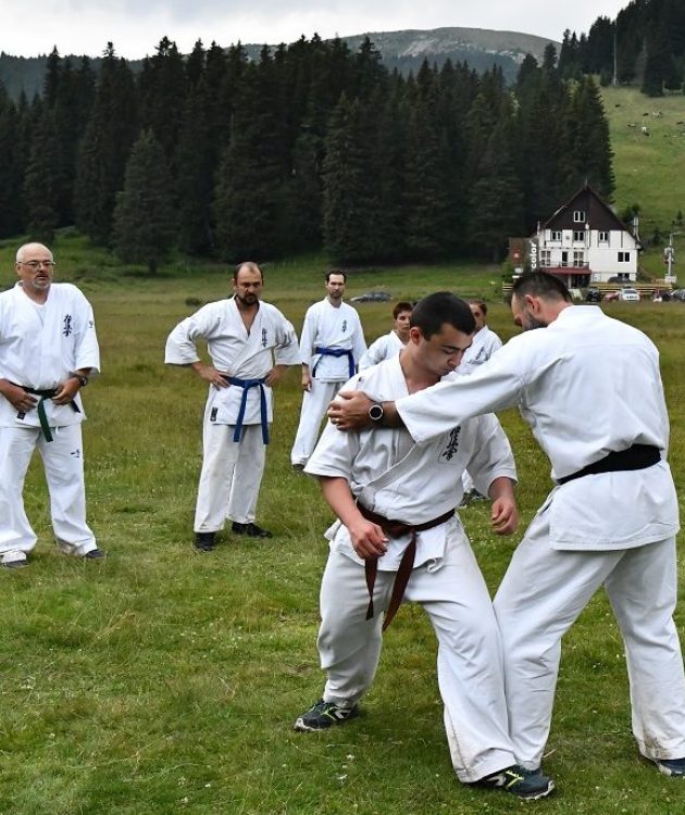 tabere arte martiale